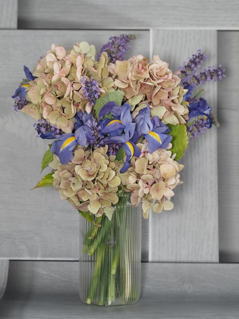 A tall, clear glass vase holding a floral bouquet featuring pale pink and cream hydrangeas, blue irises with yellow accents, and sprigs of purple lavender. The arrangement is set against a light grey 
